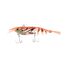Perch Shrimp