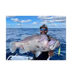 Ocean's Legacy Hybrid Contact Jig Lure 160g Sardine, Sardine, bcf_hi-res