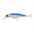 Purple Pilchard