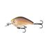 Regurgitated Shad
