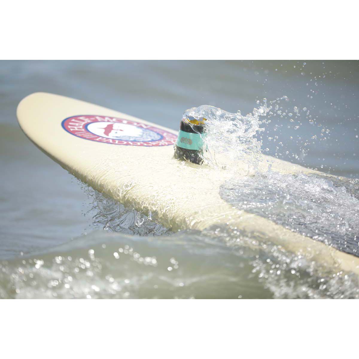 Toadfish Non Tipping Can Cooler White, White, bcf_hi-res