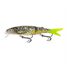 Spotted Herring