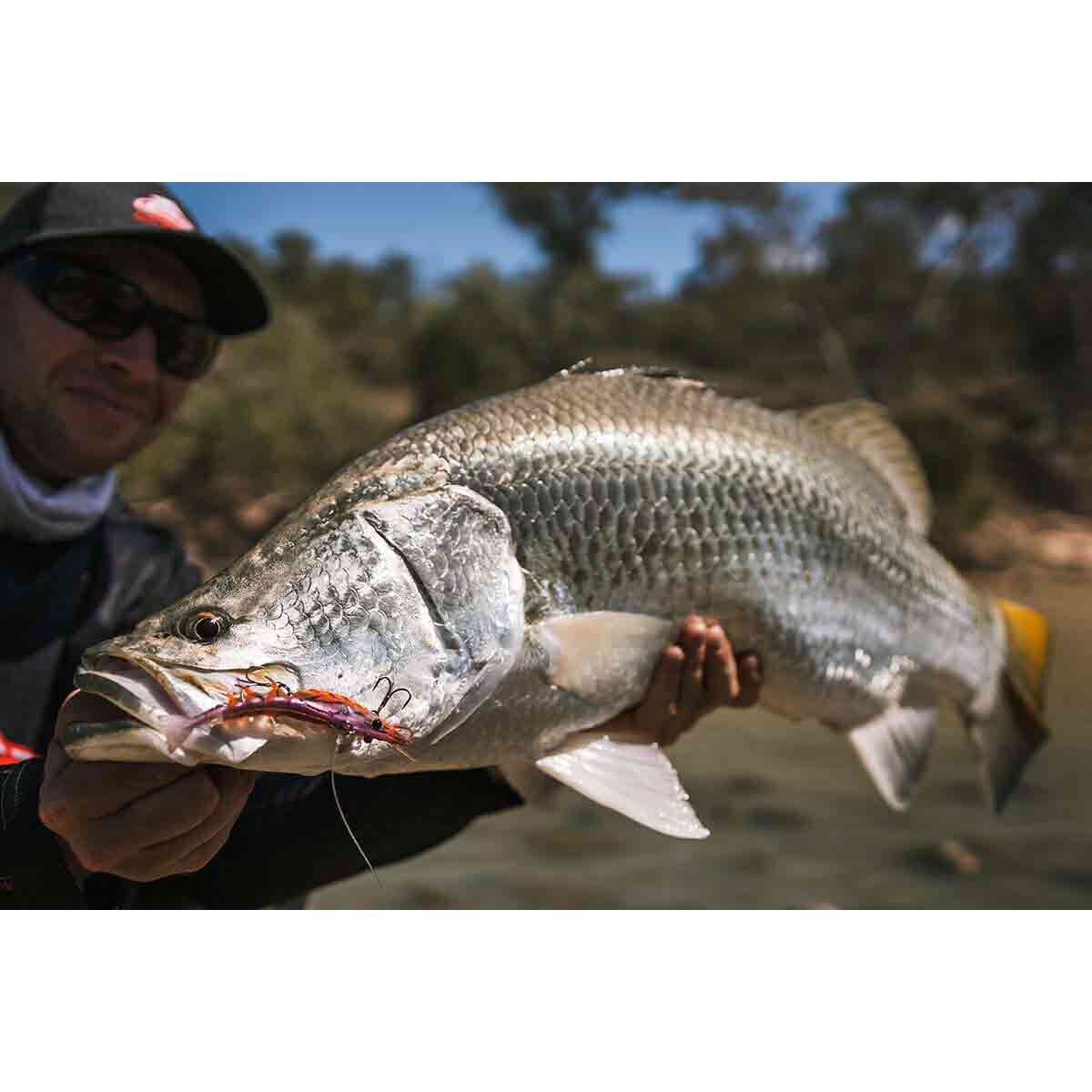 Berkley Shimma Shrimp Soft Vibe Lure 65mm Pearl Shrimp, Pearl Shrimp, bcf_hi-res