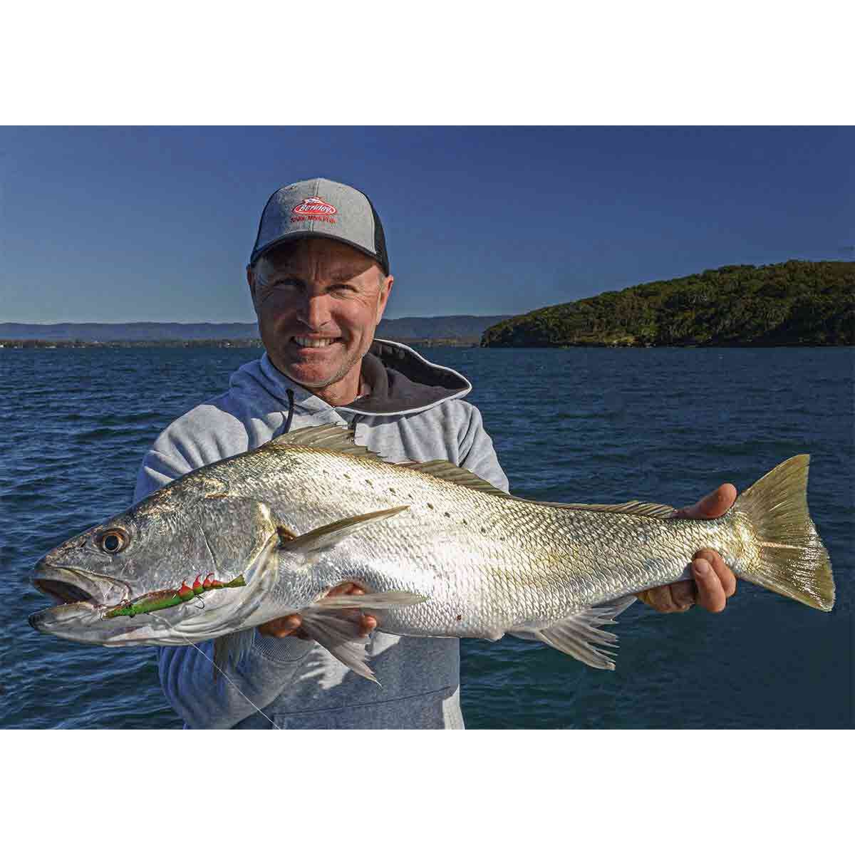 Berkley Shimma Shrimp Soft Vibe Lure 65mm Fire Tiger Shrimp, Fire Tiger Shrimp, bcf_hi-res