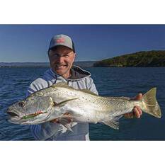 Berkley Shimma Shrimp Soft Vibe Lure 65mm Fire Tiger Shrimp, Fire Tiger Shrimp, bcf_hi-res