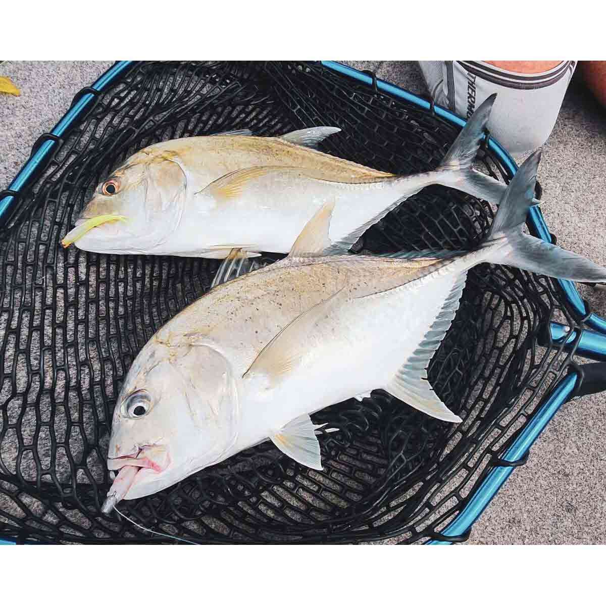 Rapala CrushCity Jerk Soft Plastic Lure 3.75in Motor Oil UV, Motor Oil UV, bcf_hi-res