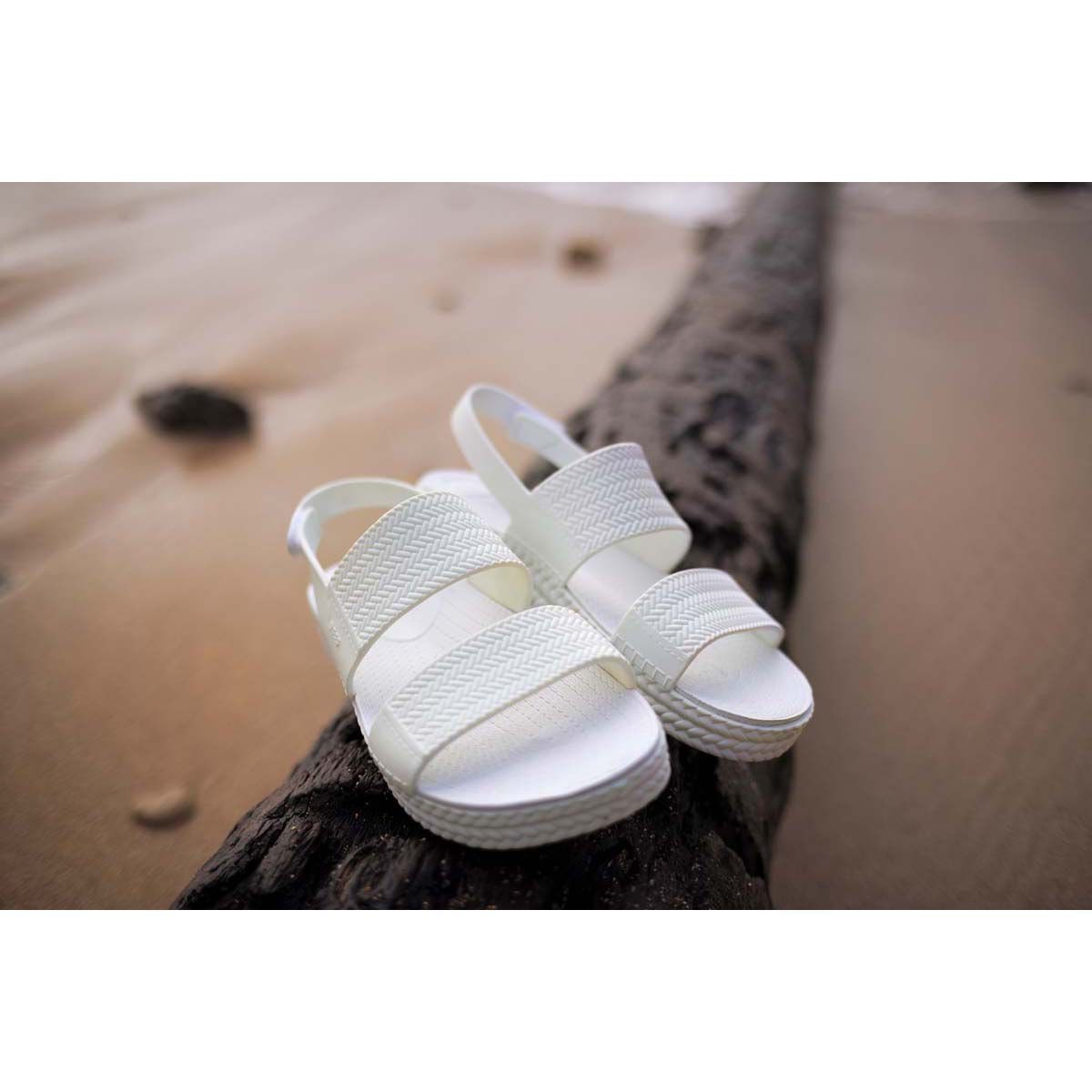 Reef best sale walkers bcf