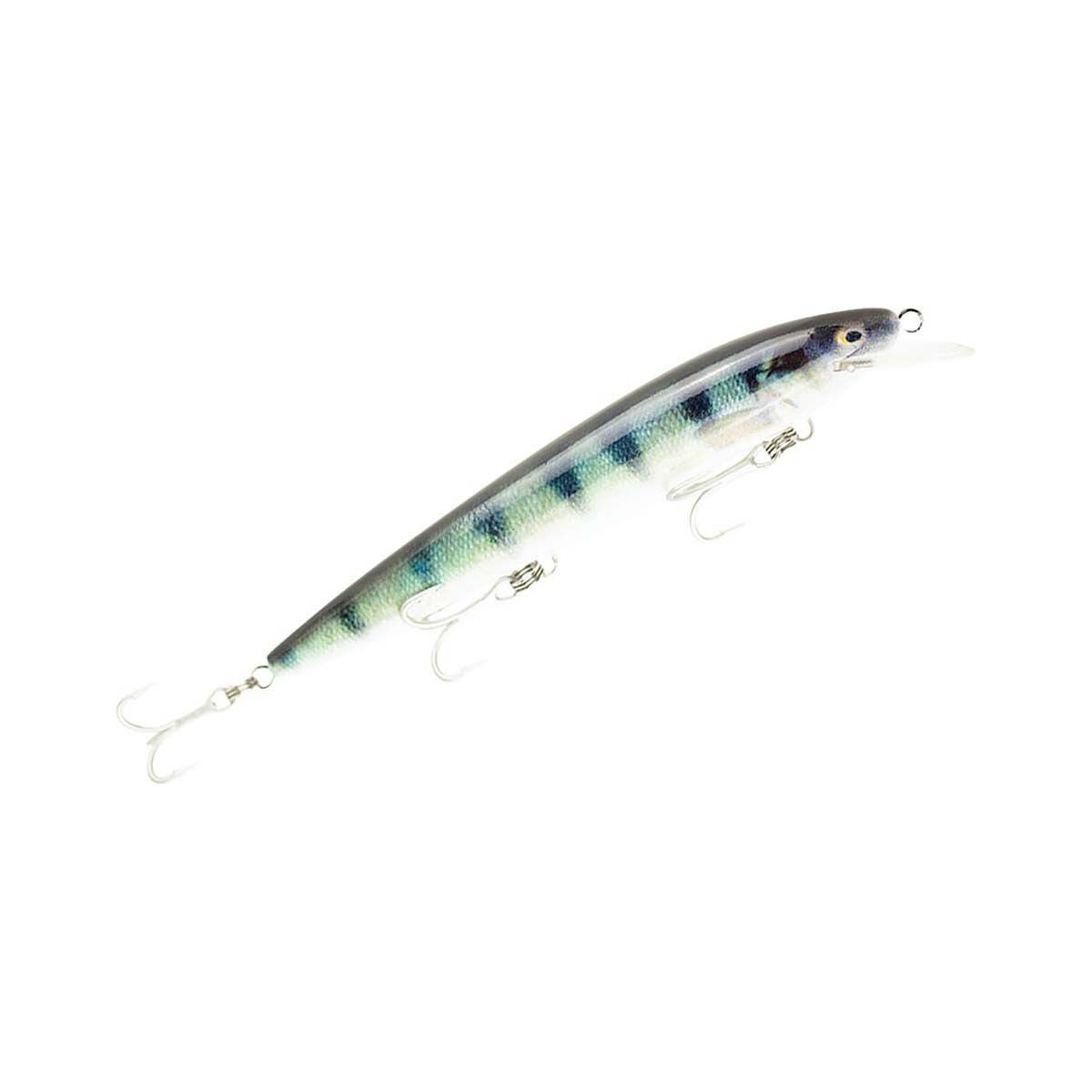 Raptor Live Dominator Hard Body Lure 7in Redfin Perch, Redfin Perch, bcf_hi-res