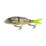 Spotted Herring