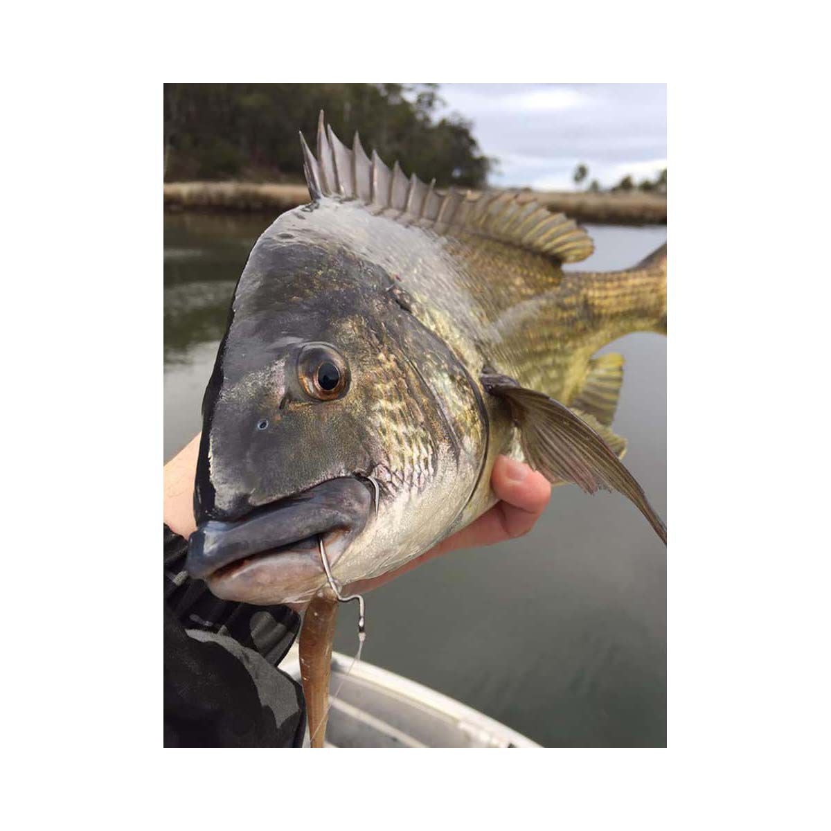 BKK Chimera Weedless Worm Hook, , bcf_hi-res