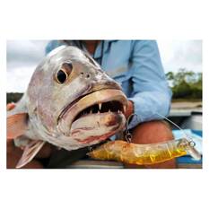 MMD Splash Prawn Surface Lure 70mm Sunburnt Jelly, Sunburnt Jelly, bcf_hi-res