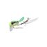 Chartreuse Grass Hopper