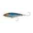 Pilchard