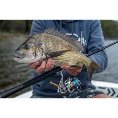 Daiwa Freams LT Spinning Reel 5000-CXH, , bcf_hi-res