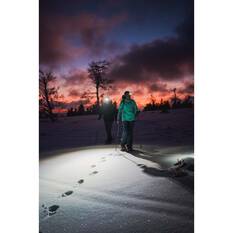 Ledlenser HF8R Signature Headlamp, , bcf_hi-res