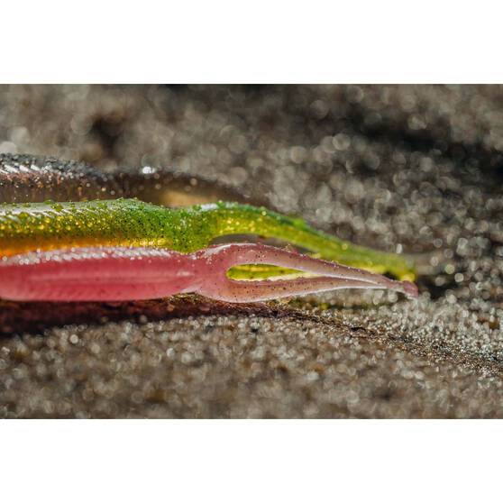 Nomad Live Ops Double Down Soft Plastic Lure 3in Sandy Pearl, Sandy Pearl, bcf_hi-res