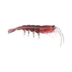 Pro Lure Clone Prawn Soft Plastic Lure 62mm Bloodworm, Bloodworm, bcf_hi-res