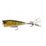 Clear Perch