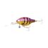 Pink Eye Shrimp