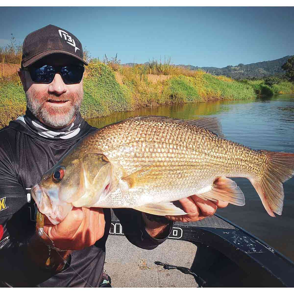 Rapala CrushCity Jerk Soft Plastic Lure 3.75in Motor Oil UV, Motor Oil UV, bcf_hi-res