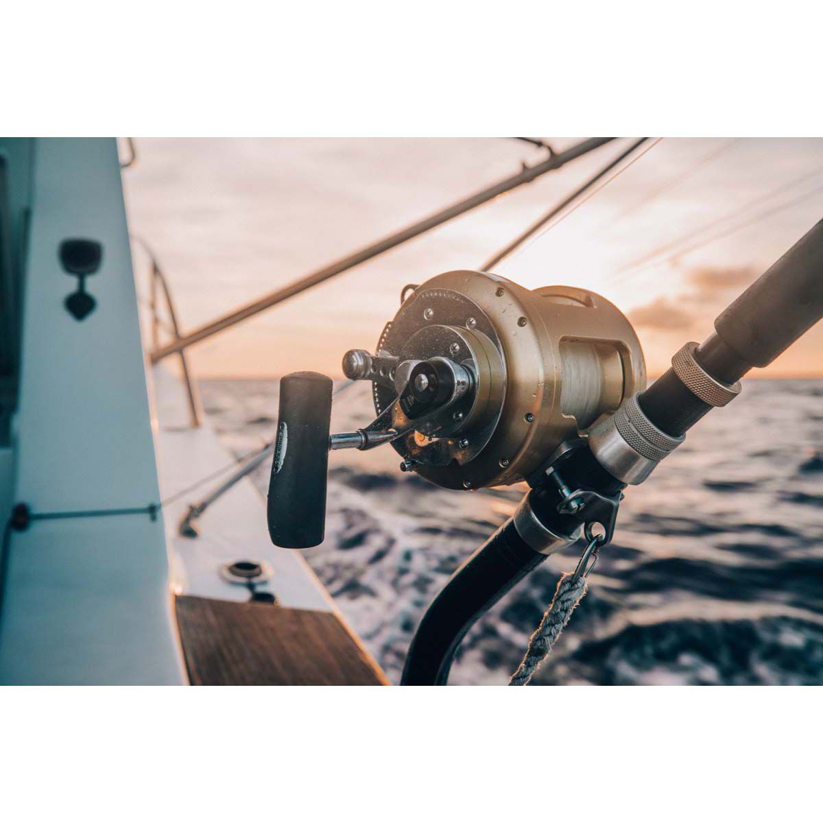 Shimano Tiagra A TI30WLRSA Conventional Reel - Melton Tackle