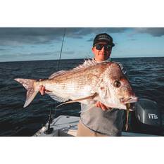 Daiwa Bait Junkie Jerkshad Soft Plastic Lure 7in BP Iwashi, BP Iwashi, bcf_hi-res