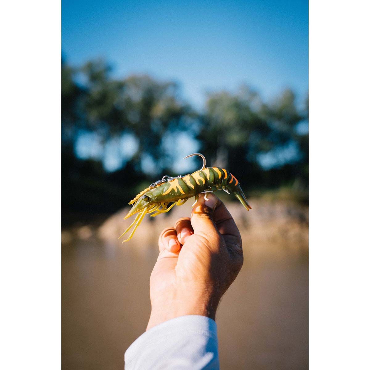 Nomad Live Ops Sumo Shrimp Pre-Rigged Soft Plastic Lure 4in Fried Banana, Fried Banana, bcf_hi-res