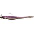 Purple Shiner
