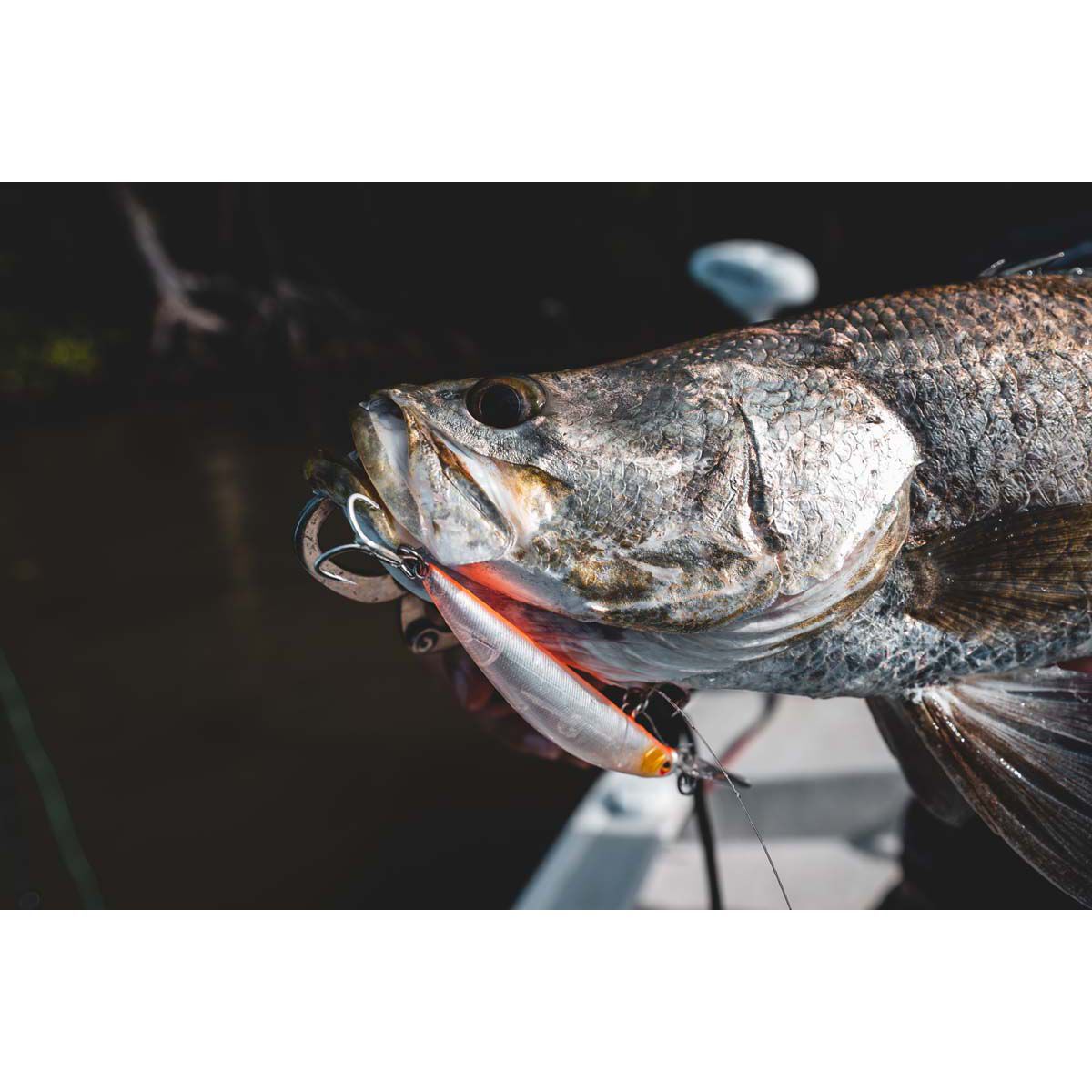 Daiwa Steez Current Master Hard Body Lure 93mm Boney, Boney, bcf_hi-res