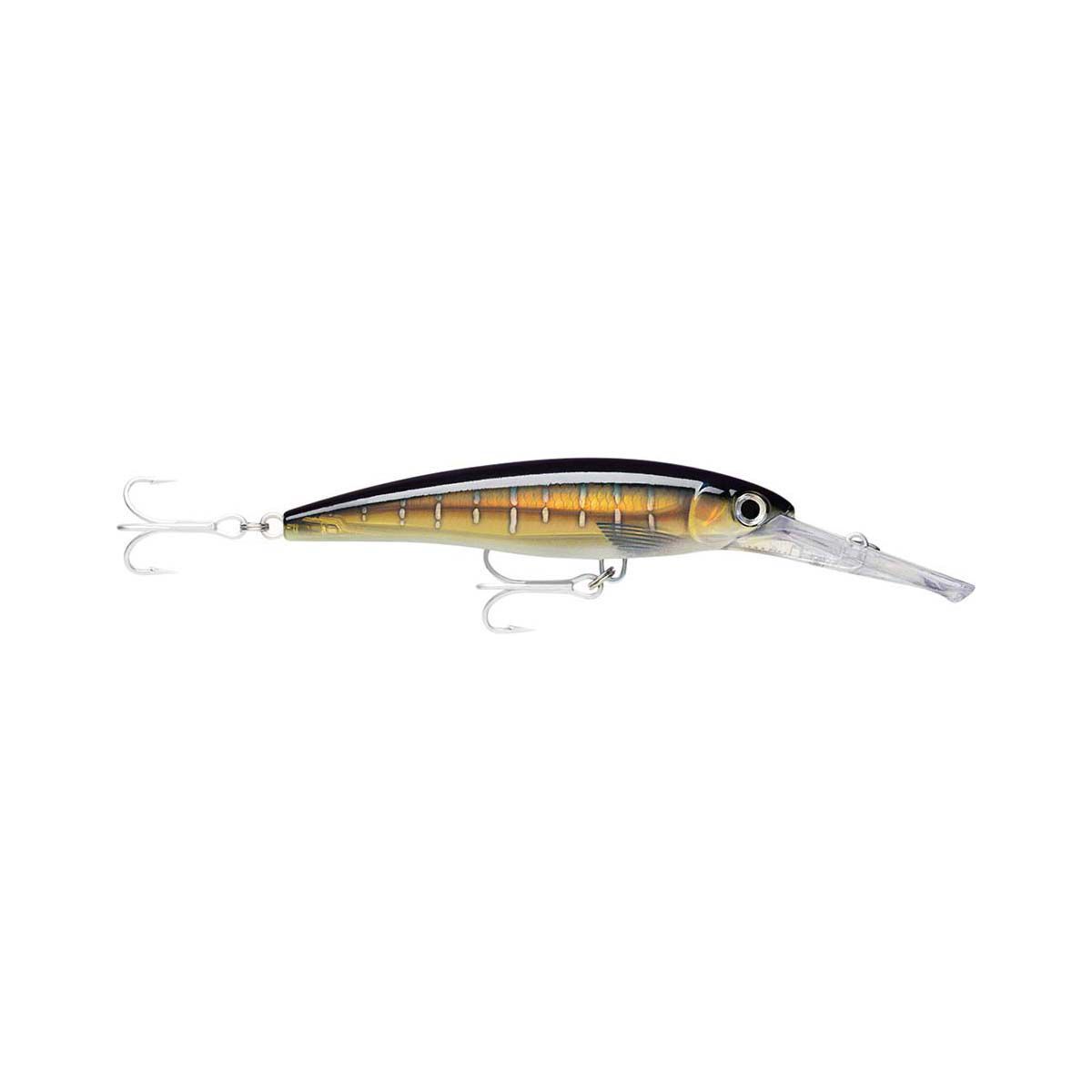 Rapala X-Rap Magnum HD 20 Hard Body Lure 14cm Sailfish, Sailfish, bcf_hi-res