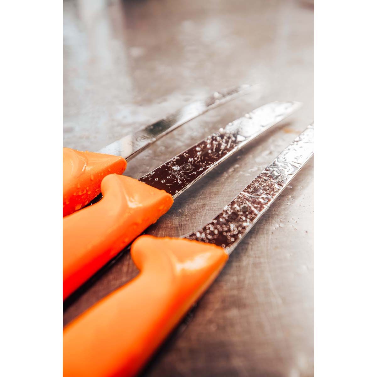 Victorinox Swibo Straight Flex 16cm Fillet Knife, , bcf_hi-res