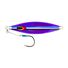 Purple Fusilier