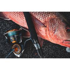 Daiwa 25 TD SOL 5000D-CXH Spinning Reel, , bcf_hi-res