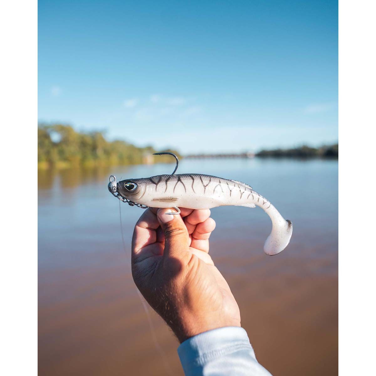 Nomad Live Ops Maniax Paddle Tail Unrigged Soft Plastic Lure 8in Ayu Ace, Ayu Ace, bcf_hi-res