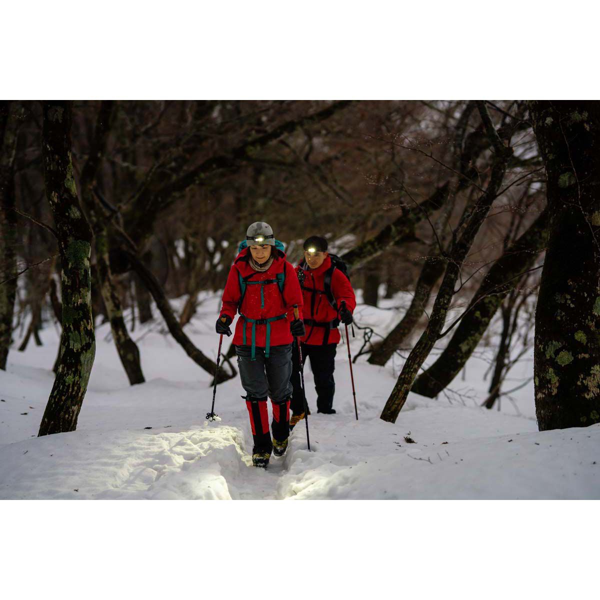 Ledlenser HF6R Core Headlamp, , bcf_hi-res