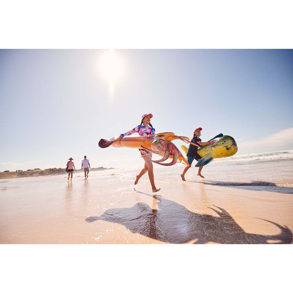 Bcf pool toys best sale