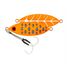 Coral Trout