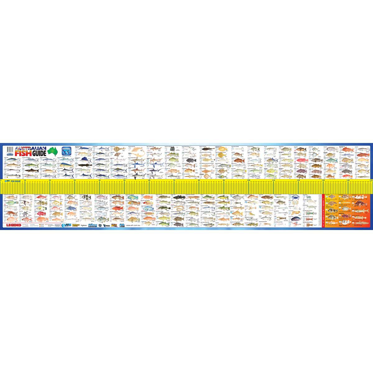 Fish ruler top