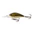 Baby Bass