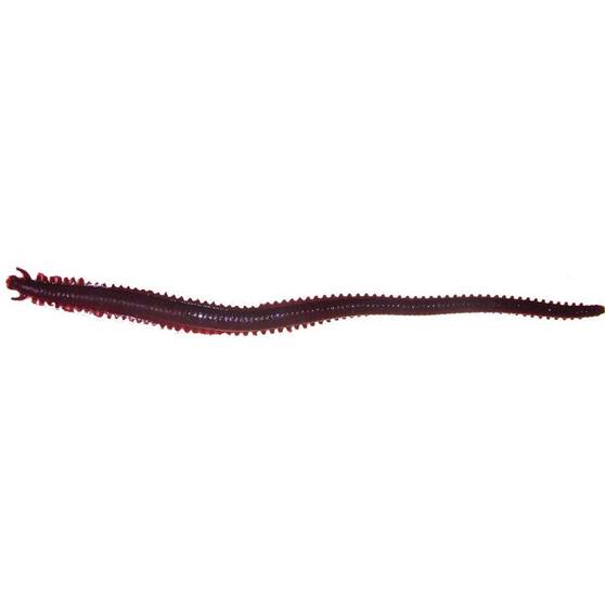Berkley Gulp! Sandworm Soft Plastic Lure 6in Bloodworm, Bloodworm, bcf_hi-res
