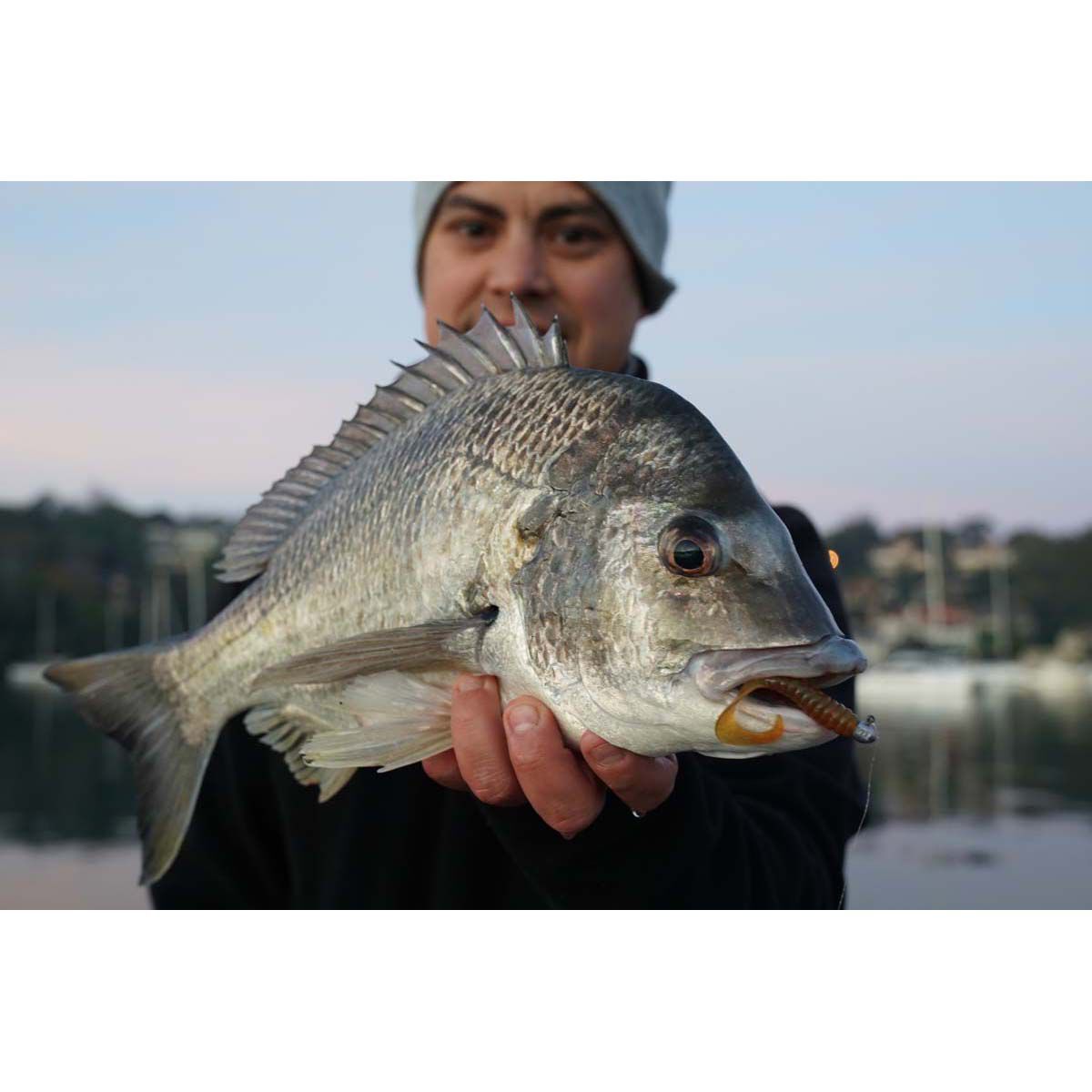 Pro Lure Grub Soft Plastic Lure 60mm UV Pumpkinseed, UV Pumpkinseed, bcf_hi-res