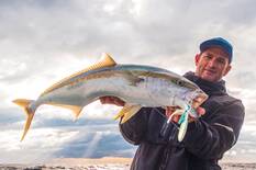 Nomad Squidtrex Jig Lure 150mm Holo Ghost Shad, Holo Ghost Shad, bcf_hi-res