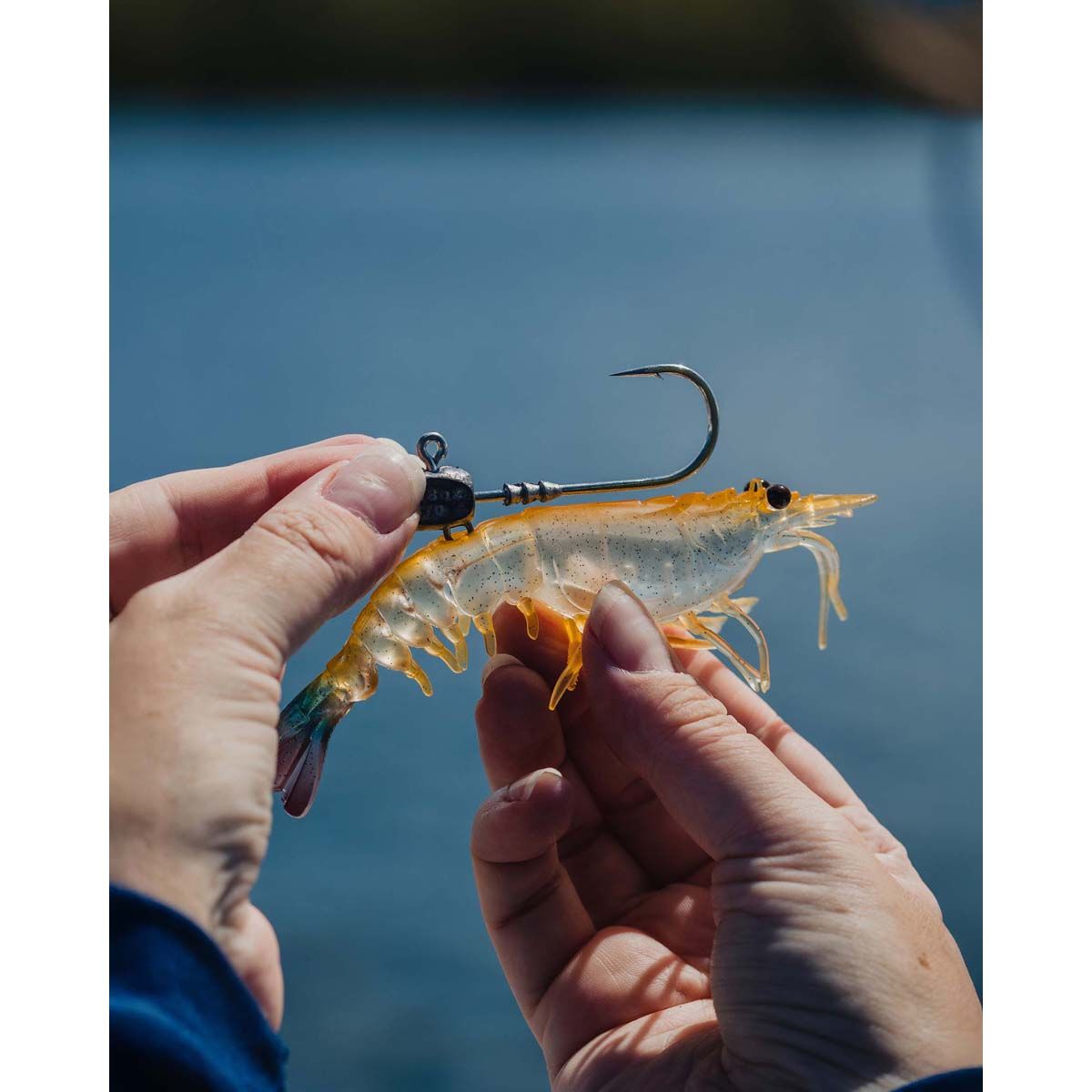 Nomad Live Ops Switcher Shrimp Soft Plastic Lure 2.3in Green Ghost Stalker, Green Ghost Stalker, bcf_hi-res