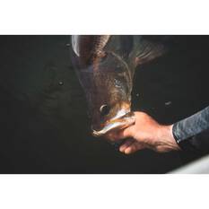 Daiwa 25 TD SOL 5000D-CXH Spinning Reel, , bcf_hi-res