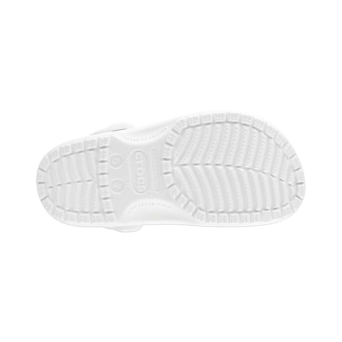 bcf crocs