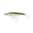 Olive Back Shad