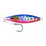 Sardine