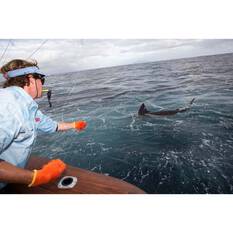 Penn International 80VISW Overhead Reel, , bcf_hi-res