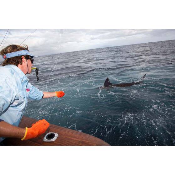 Penn International 80VISW Overhead Reel, , bcf_hi-res