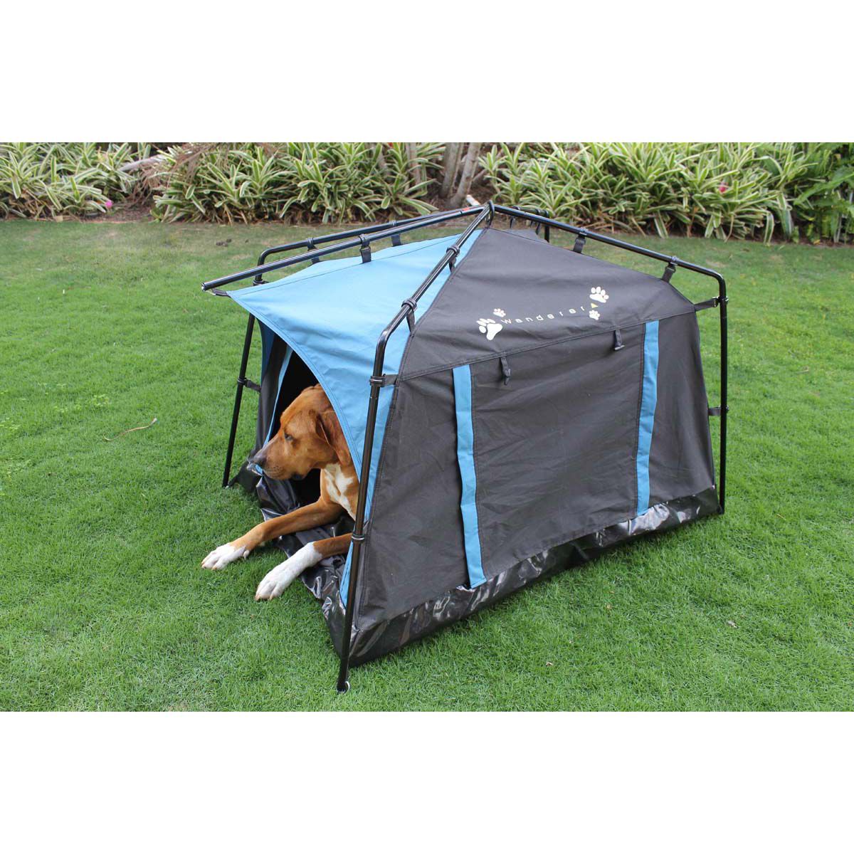 Camping crate for dogs online